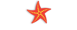 Bringing out the STAR in you